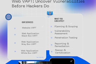 perform comprehensive web application vapt