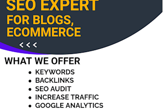 audit your website and improve traffic with 100 percent health score