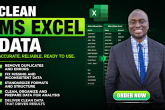do professional ms excel data cleaning