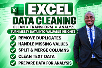 do professional ms excel data cleaning