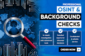 conduct professional osint and background investigations