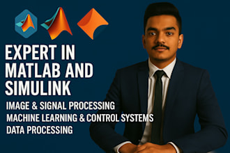 do matlab programming, simulink, signal and image processing
