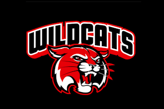 make attractive new wildcat logo