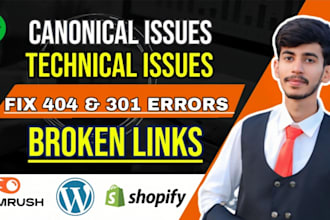 404 broken links, canonical issues and google search console errors
