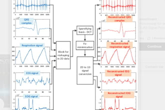 do biomedical and audio signal processing pcg ecg specialist