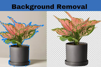 do background removal by clipping path in 2 hours