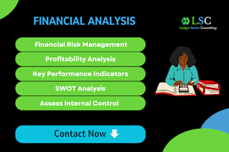 do financial analysis, prepare kpis and do financial risk management
