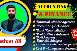 do accounting and finance assignments financial statement, analysis report,