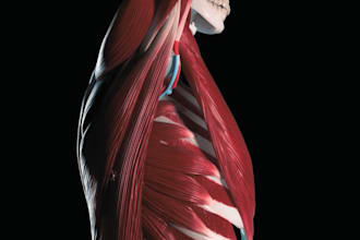 render 3d anatomy or sculpting for printing and medical