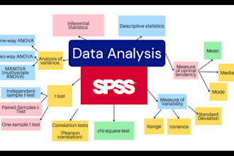 expert statistical data analysis for thesis or dissertation using spss, r
