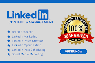 be your linkedin social media manager and content creator