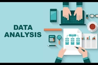 perform statistical data analysis and thesis assistance