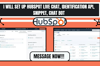 set up hubspot live chat identification API snippet chat bot