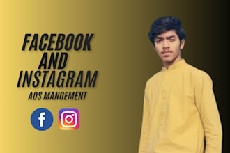 set up facebook and instagram ads for leads and sales