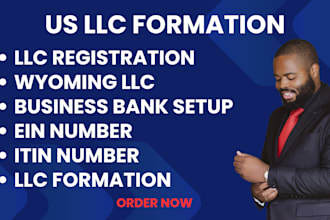 handle your llc formation in the USA with professional agent services