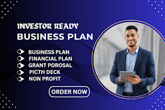 write an investor ready business plan with financial plan