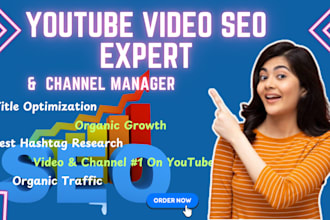 be youtube video SEO expert and channel manager