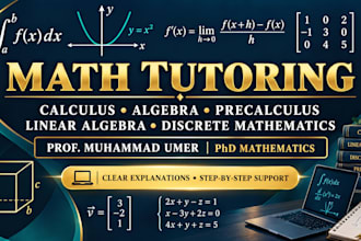tutor you in precalculus, calculus, and college algebra