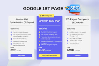 deliver complete monthly SEO support