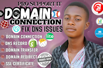 fast connect domain or tranfer domain to any platform or website and dns fix