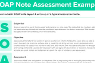 do shadowhealth, ihuman, soap note,progress notes, careplan, concept map