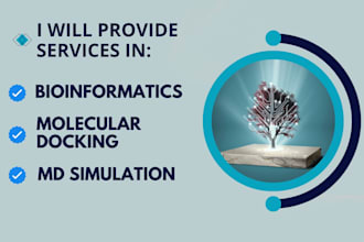 provide services bioinformatics, molecular docking and MD simulation