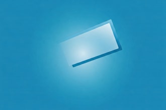 optimize financial systems, manage erp projects, and streamline processes