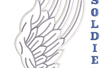 do applique embroidery digitizing into dst, pes, emb, jef file in 1 hr