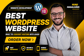 design and develop professional wordpress website for your business