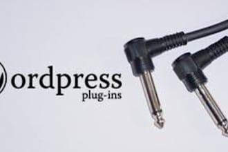 give you any wordpress primium plugin