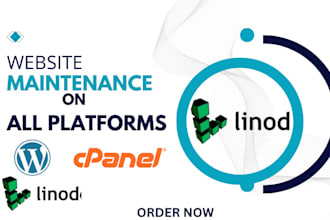 provide professional website maintenance for any platform