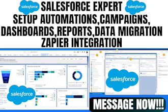 create salesforce dashboards,reports,workflow sales pipeline,campaigns lightning