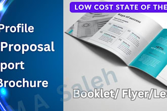 design stunning company profiles, business brochures, proposals, annual reports