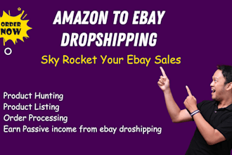 your expert ebay dropshipping consultant to maximize profits