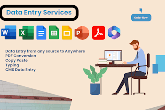 do data entry, excel data entry, file conversion, virtual assistant, copy paste