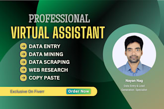 be your executive virtual assistant for data entry, web research