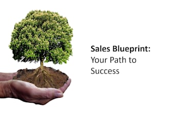 be your sales trainer, coach, and mentor
