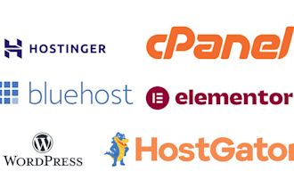 develop professional and responsive godaddy, bluehost, wordpress website design