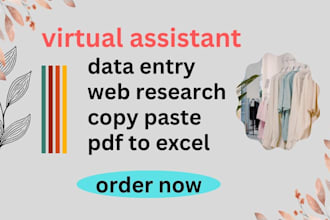 do data mining , copy paste , typing job , email fender