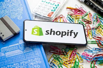 professional shopify store development and customization