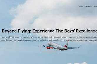 provide stunning and functional travel websites