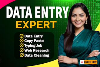 do data entry typing work job, copy paste, excel data entry