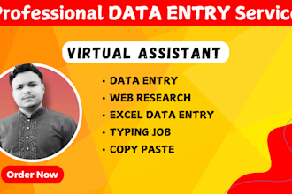 do accurate data entry, web research, copy paste and excel data entry job