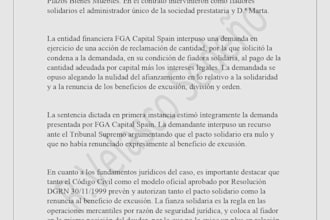 provide legal advice and business consulting in spanish, french, and english