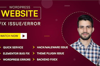do wordpress fix and resolve wordpress website issues