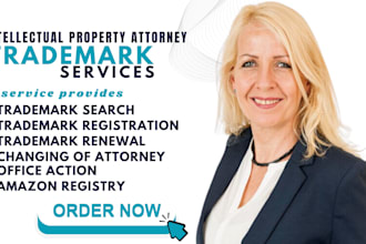 do a trademark brand service for USA trademark search, registration or filing