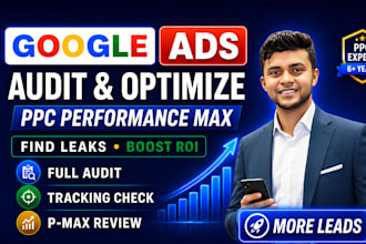 do audit google ads and optimize PPC performance max campaigns