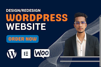 design, redesign, rebuild wordpress website design, business website development