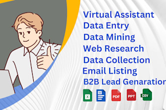 be your virtual assistant for data entry, data mining, copy paste, web research