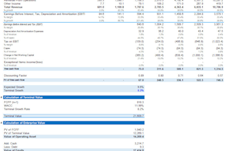 assist you with investor presentation, business valuation, financial modelling